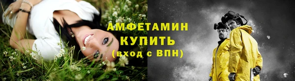 соль ск Дмитров
