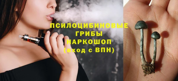 соль ск Дмитров