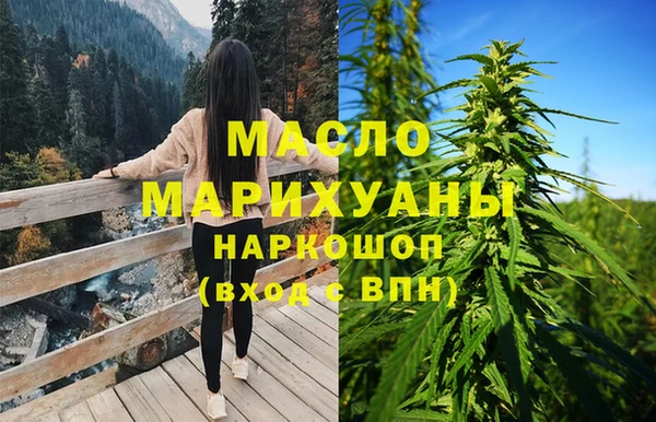соль ск Дмитров