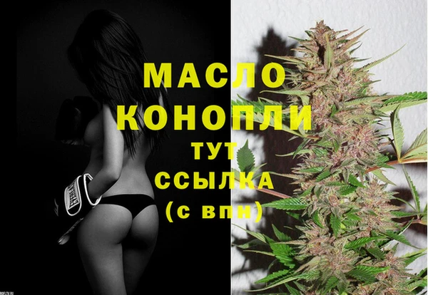 соль ск Дмитров