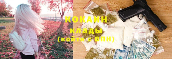 МДПВ Дмитровск