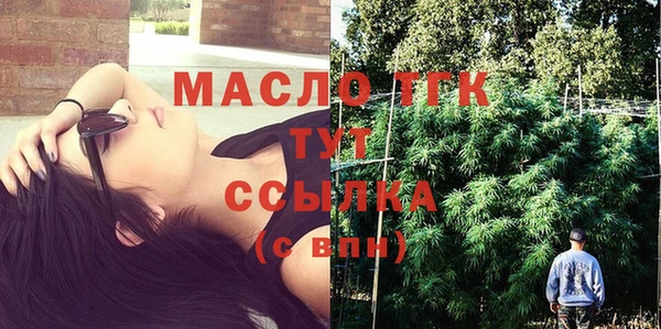 соль ск Дмитров