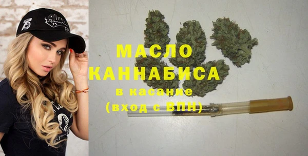 соль ск Дмитров