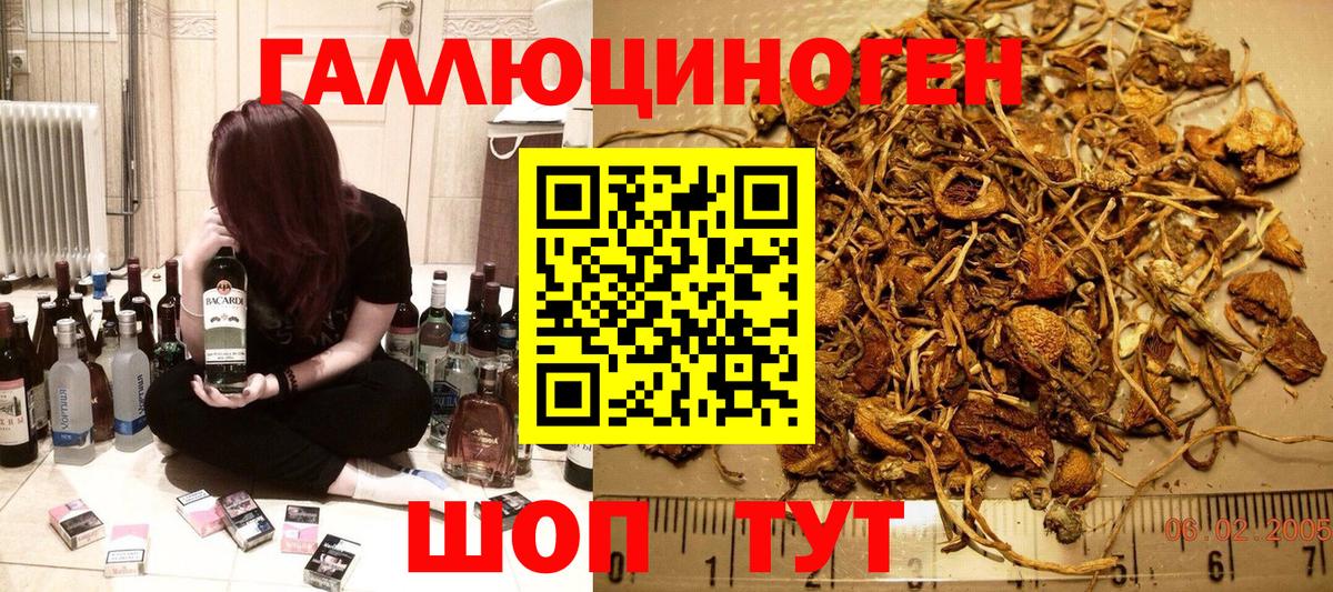 Псилоцибиновые грибы ЛСД Протвино