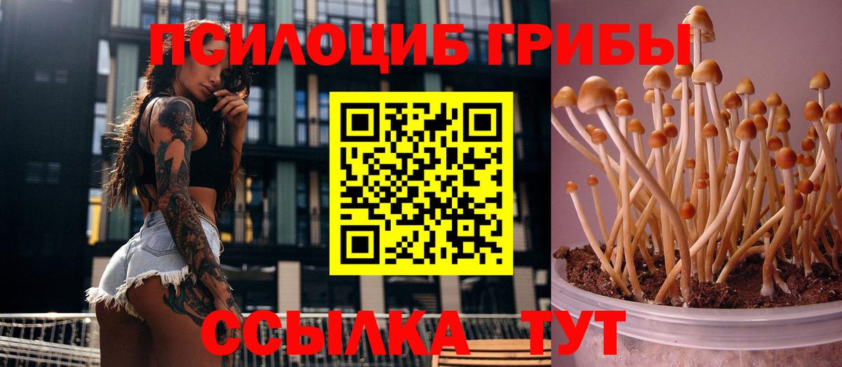 Протвино  Псилоцибиновые грибы MAGIC MUSHROOMS  Вход с VPN 